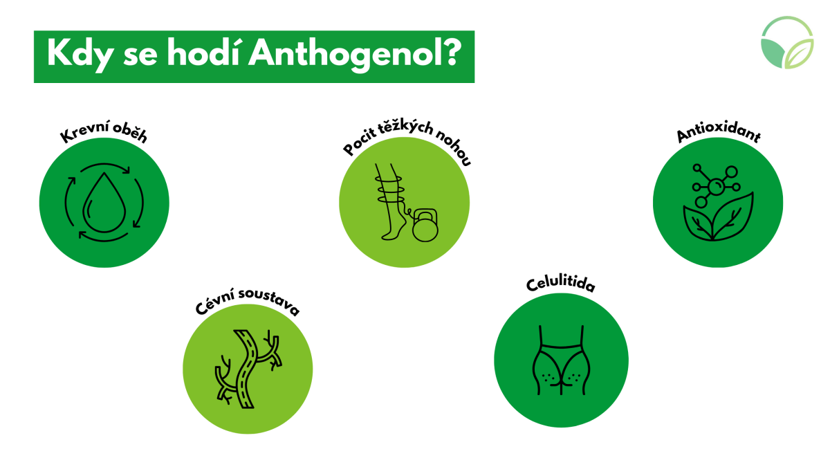 Anthogenol