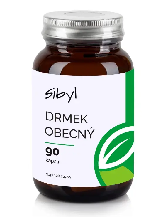 Drmek obecn SIBYL 90 cps